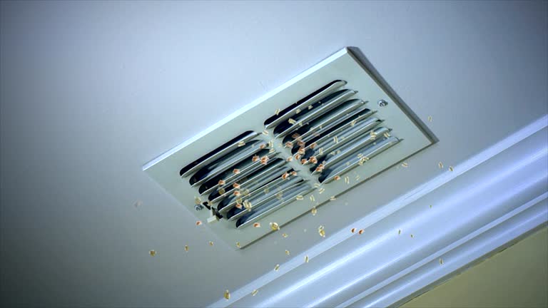 Best Affordable Air Duct Cleaning  in Marlboro, NY